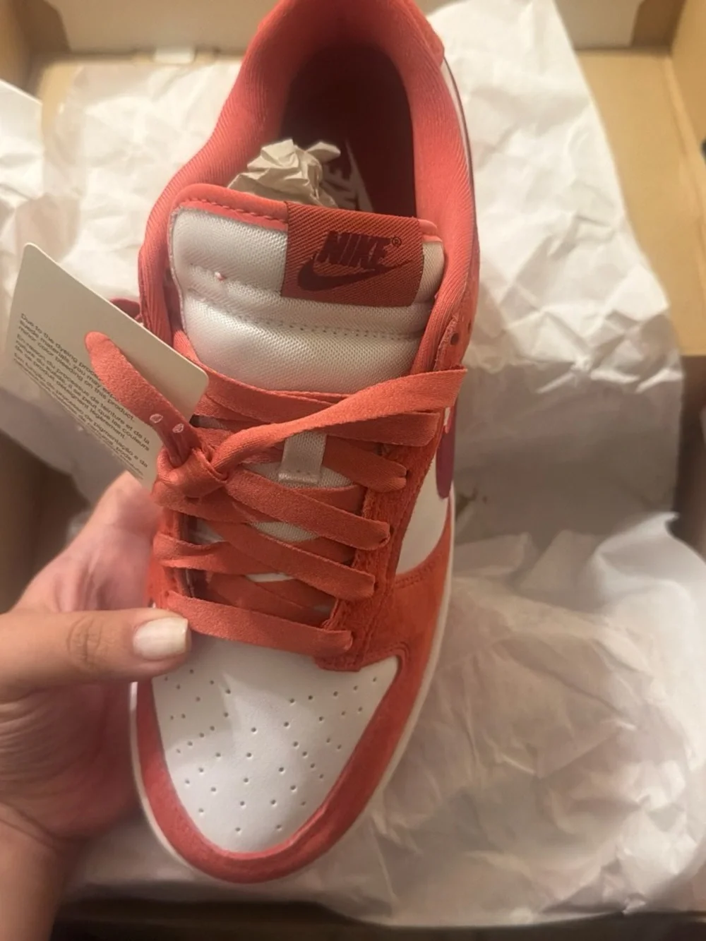 Brand new  women’s ' dunks